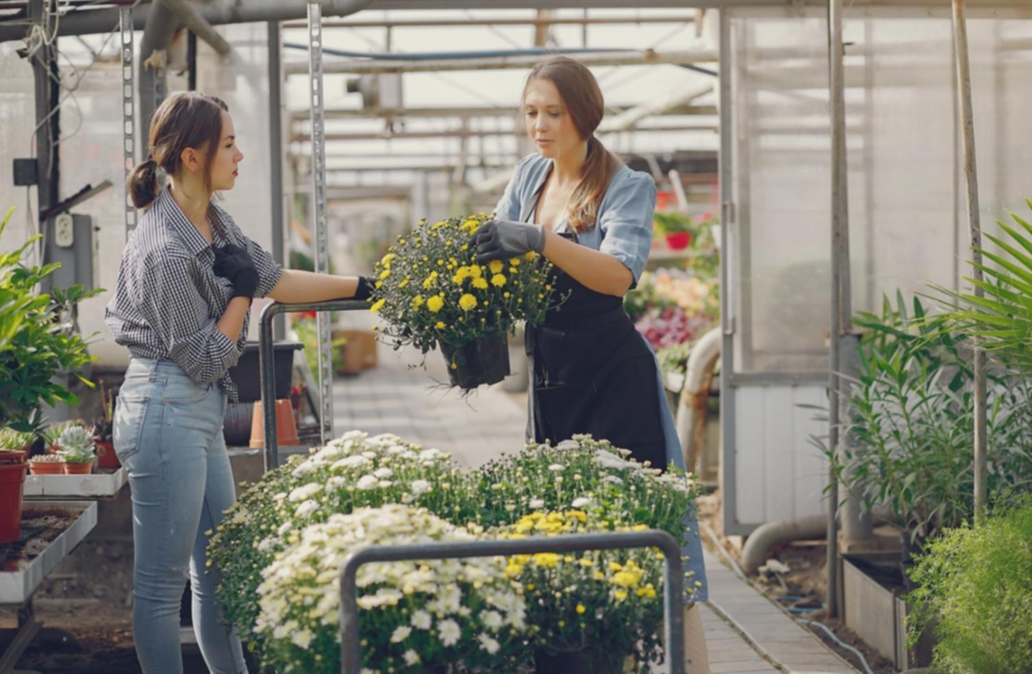 Рабочий процесс флориста